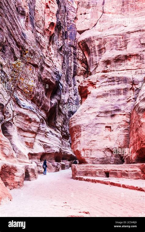 The Canyon Known As Al Siq At The Entrance To The Pink City Of Petra In
