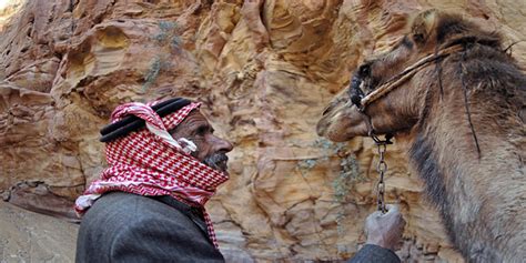 Desert Eco Tours Petra Wadi Rum Tours Trips To Jordan Day Trip To