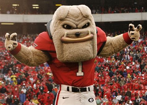 Georgia Athletics University Forms A Partnership With Syncthink