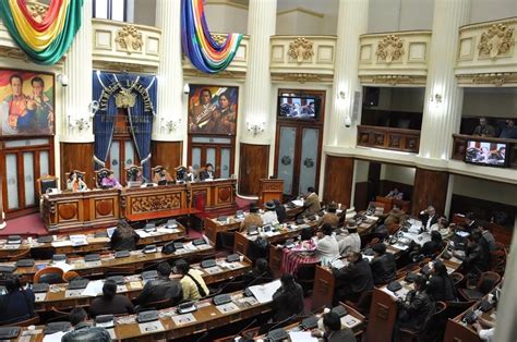 Requisitos Para Formar Un Partido Pol Tico En Bolivia Elyex