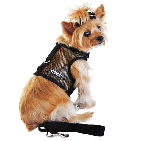Cool Mesh Dog Harness By Doggie Design Soli Baxterboo