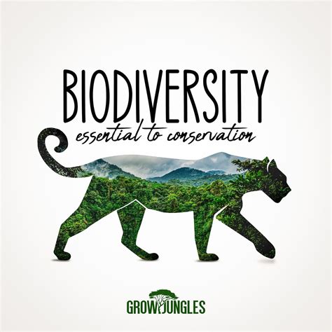 Biodiversity As The Vital Building Block For Sustaining A Healthy