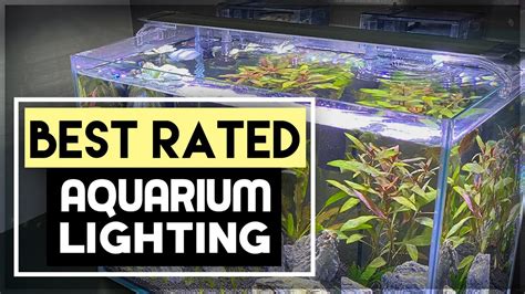 Best Aquarium Led Light For Planted Aquascape Setup Finnex Planted 24