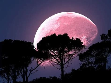 Because it's a supermoon, it means the full moon also coincides with the closest point in its orbit around earth. Pink Moon 2020: Know What It Is And When You Can Watch It ...