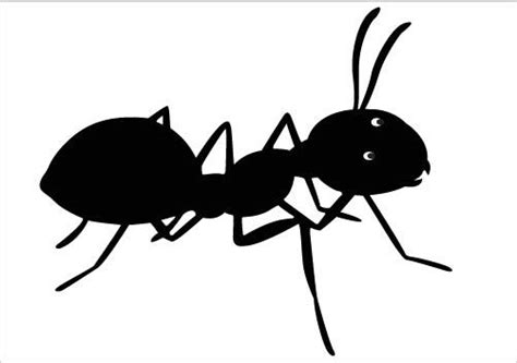 Ant Clipart Black And White Clipart Best