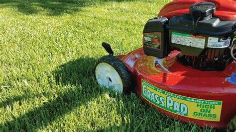 10 Steps To Overseeding Your Lawn In The Fall Grass Pad