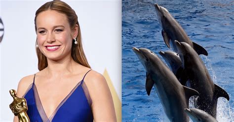 The Internet Is Furious At Brie Larson For Touching A Dolphin Maxim