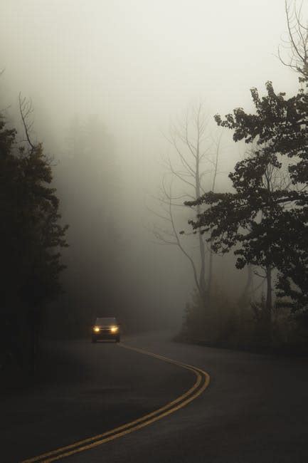 5 Tips For Driving In Fog That You Should Know About Go Motors