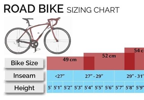 Womens Bicycle Sizes Bike Review
