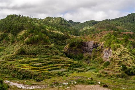 Banaue Rice Terraces Discover The 8th Wonder Of The World Suroyph