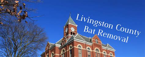 Livingston County Bat Removal And Prevention Inc