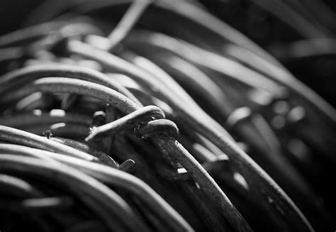 Barbed Wire Bondage Telegraph