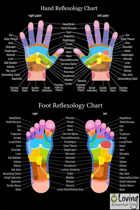 Hand And Foot Reflexology Chart Printable Hot Sex Picture