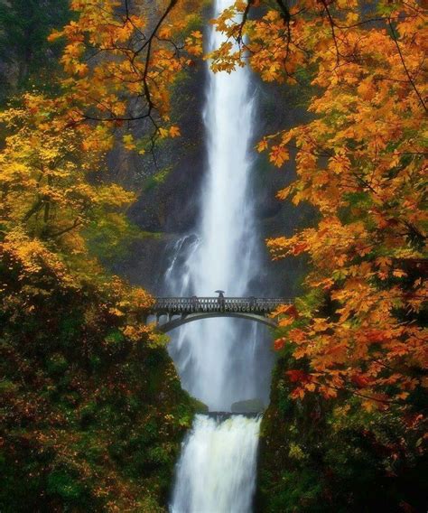 Multnomah Falls In Autumn Multnomah Falls Fall Colors Oregon