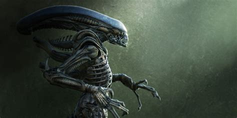Alien Franchise Misconceptions Alien Forum