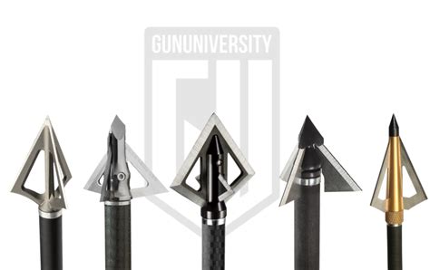 5 Best Fixed Blade Broadheads Finding The Right One For You By Dave