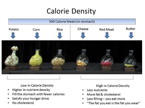 Many people would struggle to finish such a meal in one sitting. What is Calorie Density?