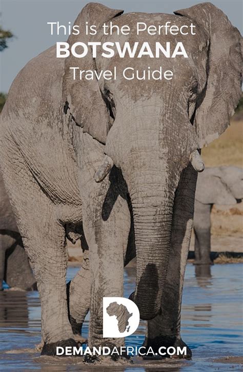 The Perfect Botswana Travel Guide Demand Africa Botswana Travel