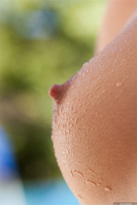 Breast Nipple Close Up Hot Sex Picture
