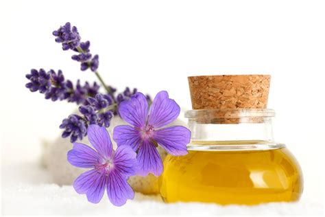 Aroma Essential Oil Store Reveals The Advantage Of Using Lavender