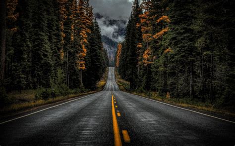 Background Road Road Hd Wallpaper Background Image 2560x1600 Id