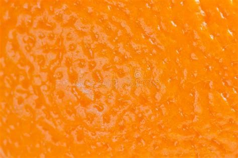 Orange Skin Stock Photo Image Of Health Fruit Skin 23773168