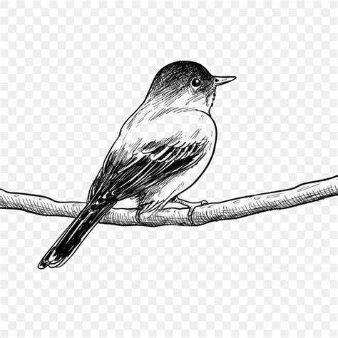 Bird Drawing Painting Poster Sketch Png 1200x1200px Bird Art Art