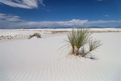 Top Things To Do In White Sands National Park For First Time
