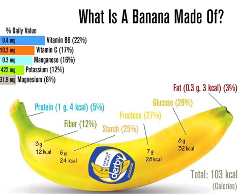 The Nutritional Value Of Banana And Its Benefits To Your Diet Banana