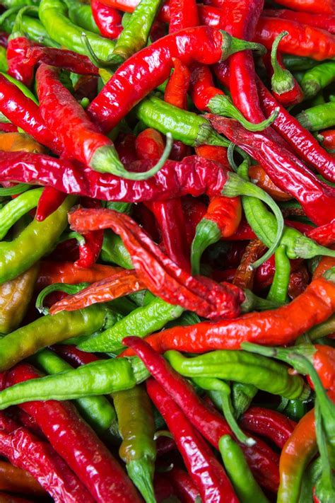 Capsaicin Introduction To Sensation And Perception