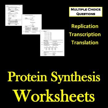 Lab safety & lab equipment activities for the middle/high. Dna Replication And Protein Synthesis Virtual Lab Sheet ...