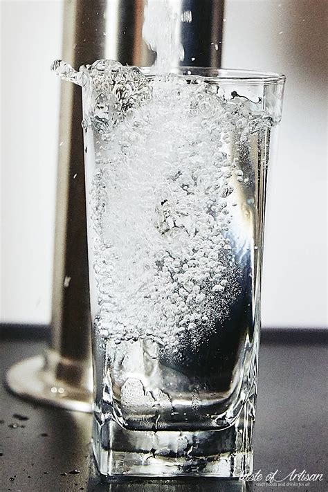 How To Make Carbonated Water At Home From Simple To More Elaborated Water Carbonation Setups