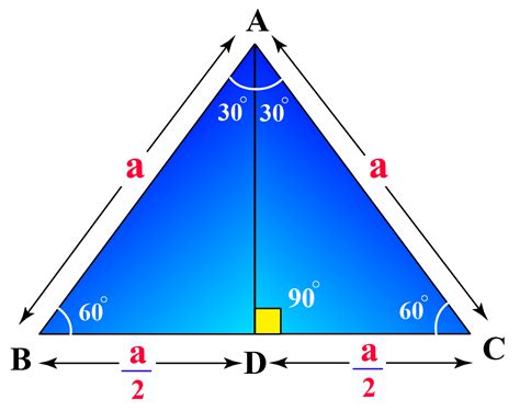 30 60 90 Triangle Unit Circle