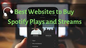 Whether you want to push your playlists, or are represented on spotify as a band or a label, you will have no. Buy Spotify Plays - Starting at only 6$ | Spotify, How to ...
