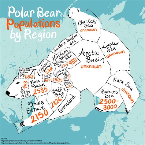 An Illustrated Map Of The Worlds Polar Bear Population
