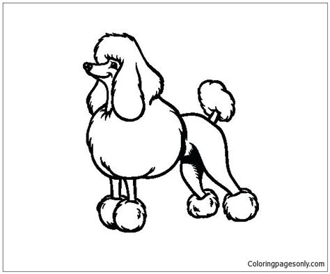 If you love your poodle or are looking to own one, you can color them now with our free coloring pages. Poodle Puppy Coloring Page - Free Coloring Pages Online