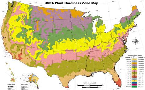 Printable Plant Hardiness Zone Map
