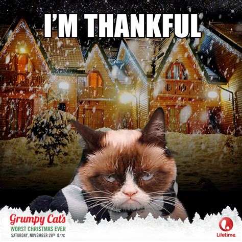 Grumpy Cat Christmas Grumpy Cat Christmas Grumpy Cat Grumpy Cat Quotes