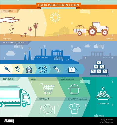 Infographic Food Production