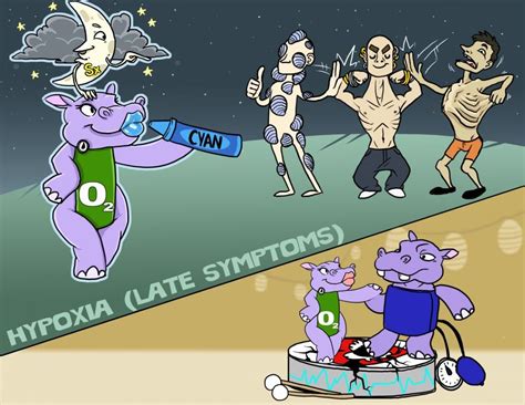 Hypoxia Osmosis