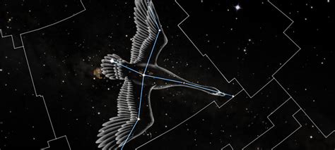 The Constellation Cygnus Stellar Discovery