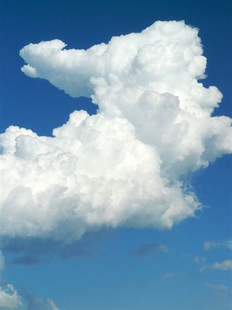 Free Images Cloud Sky White Daytime Cumulus Blue Clouds Form
