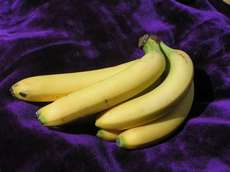 Bunch Of Bananas Free Photo Download Freeimages