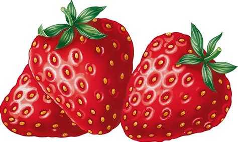 Strawberry Farmer Strawberries Clipart Free Clip Art Images Image