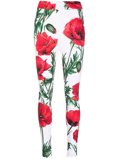 dolce and gabbana floral print leggings farfetch