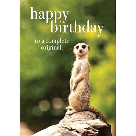 Meerkat Mini Card Happy Birthday Affirmations Publishing House