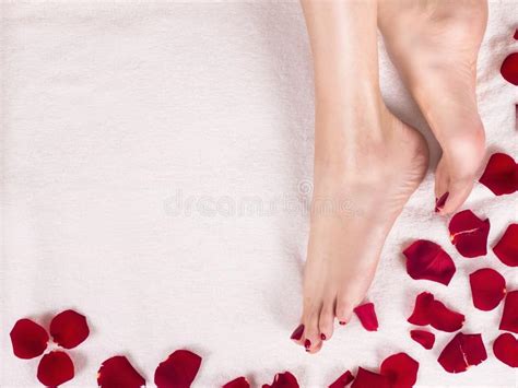 Beautiful Female Feet And Rose Petals Spa And Skin Care Concept Stock