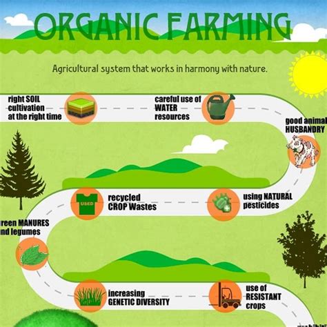Organic Farming Organic Gardening Tips Organic Farming Mind Power