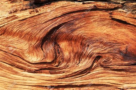 Twisted And Eroded Woodgrain Background Texture Stock Photo Stock
