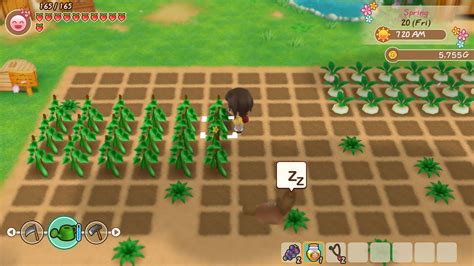 Story of Seasons: Friends of Mineral Town Tips and Tricks for Leveling